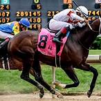 best horse bet of the day